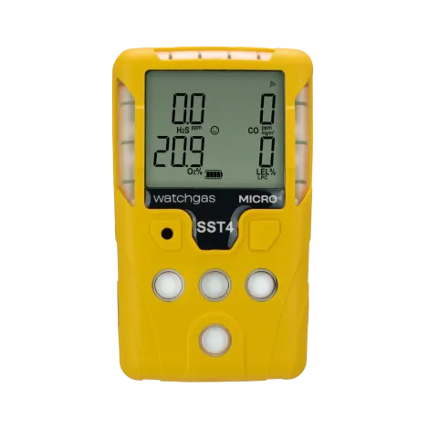 Esa Elektronik-  Gaz Dedektör Ölçüm Test ve Kalibrasyon Cihazları